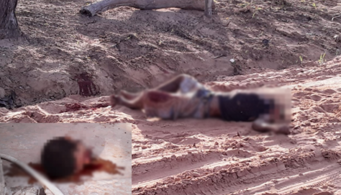 corpo-sem-cabeça-750x430