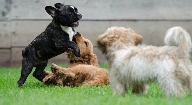 5db65e90313d11fe0022ca4d9f35b8cc013dd93ddee47