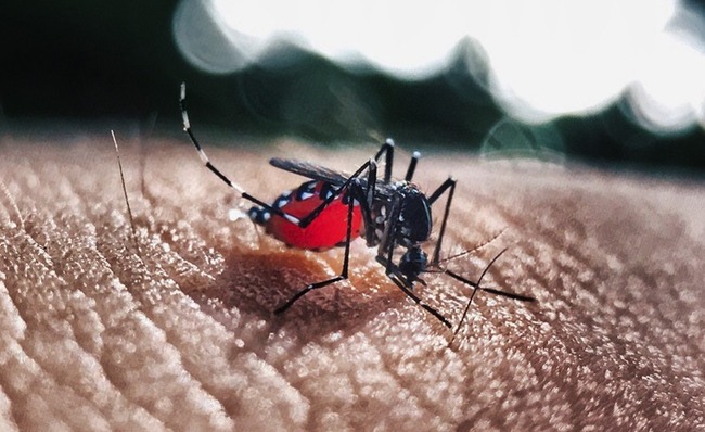 5dce02dd4103cdf065b10e46c1309d08a52c9e76d1f0e