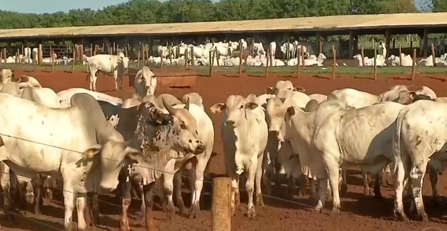 5de47960e92a914a3452173bcc7f6fab4e7f1ce2a7223