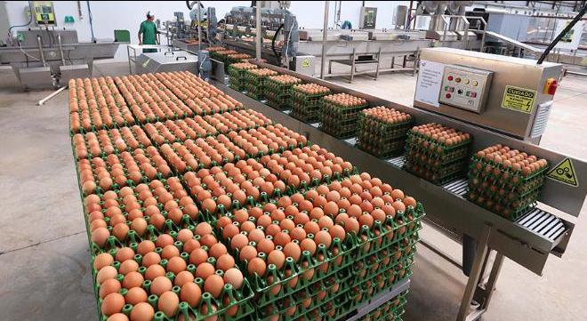 1607634303729-660x440-1