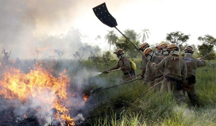 Treinamento-dos-bombeiros-no-combate-a-incêndio-florestal-Foto-Edemir-Rodrigues-1-730x425
