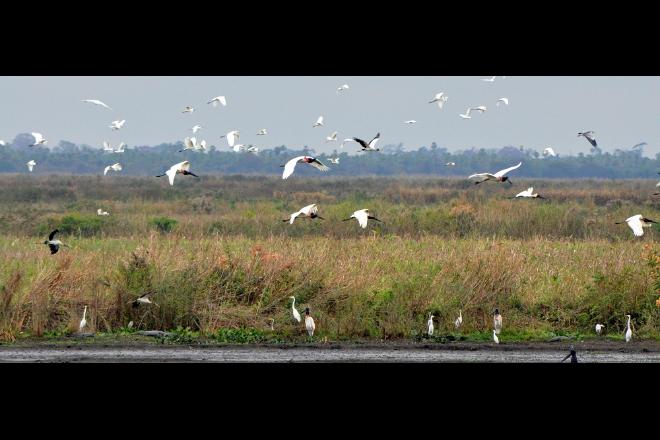 1628777072882-660x440