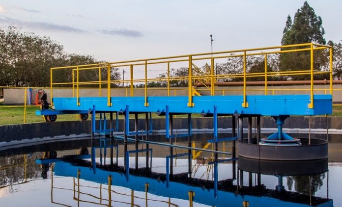 982f2f99-1ab8-474d-8bdc-4461d8ca34a2_img6234