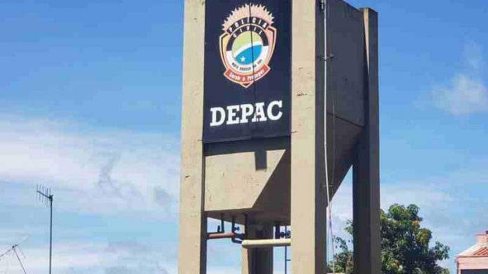 depac_2_redimens.jpeg_TMfpTq9_widelg