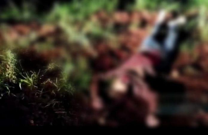 whatsapp-image-2021-10-17-at-09.32.55