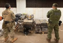 PF e PM/PR localizam mais de 870 kg de maconha em Foz do Iguaçu
